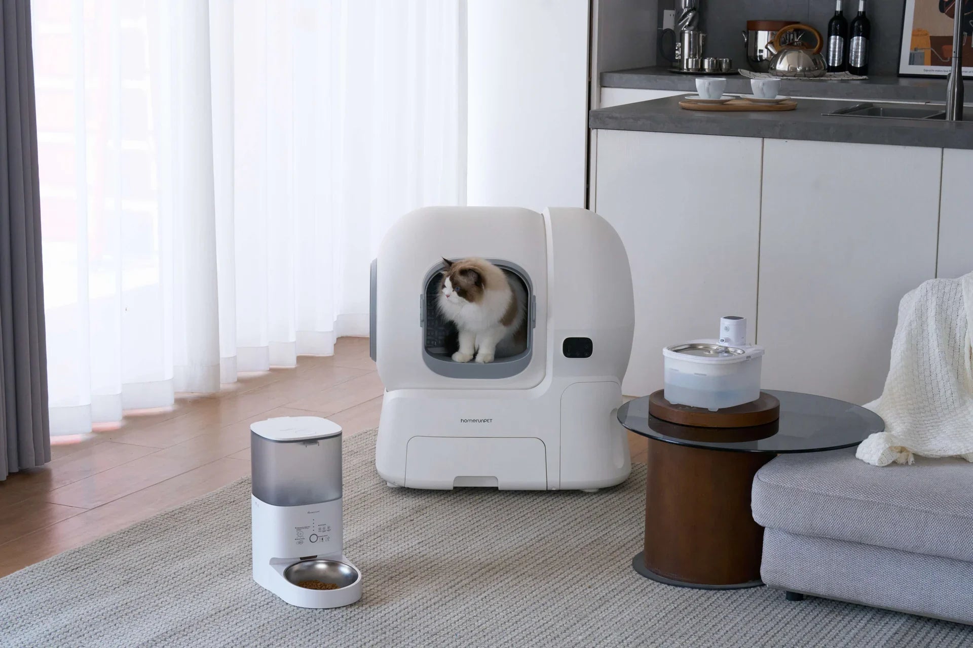 So sánh máy lọc nước cho mèo Petone W2, W8, W11 và PWL-012: chọn loại nào?