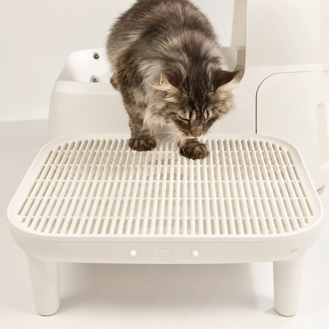Homerunpet CS160.S01 Anti-Litter Step Platform for Cat Toilet - Xmart