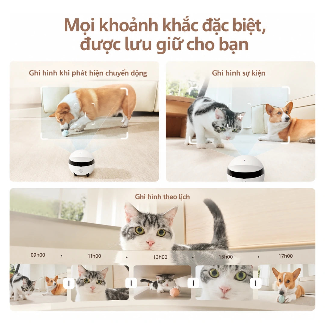 Robot Camera Theo Dõi Thú Cưng Enabot ROLA Mini 2K - Xmart