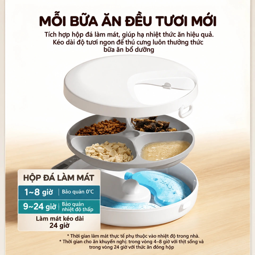 Máy Cho Mèo Ăn Thức Ăn Ướt Petone F26 - 4 Bữa, Không Dây - Xmart