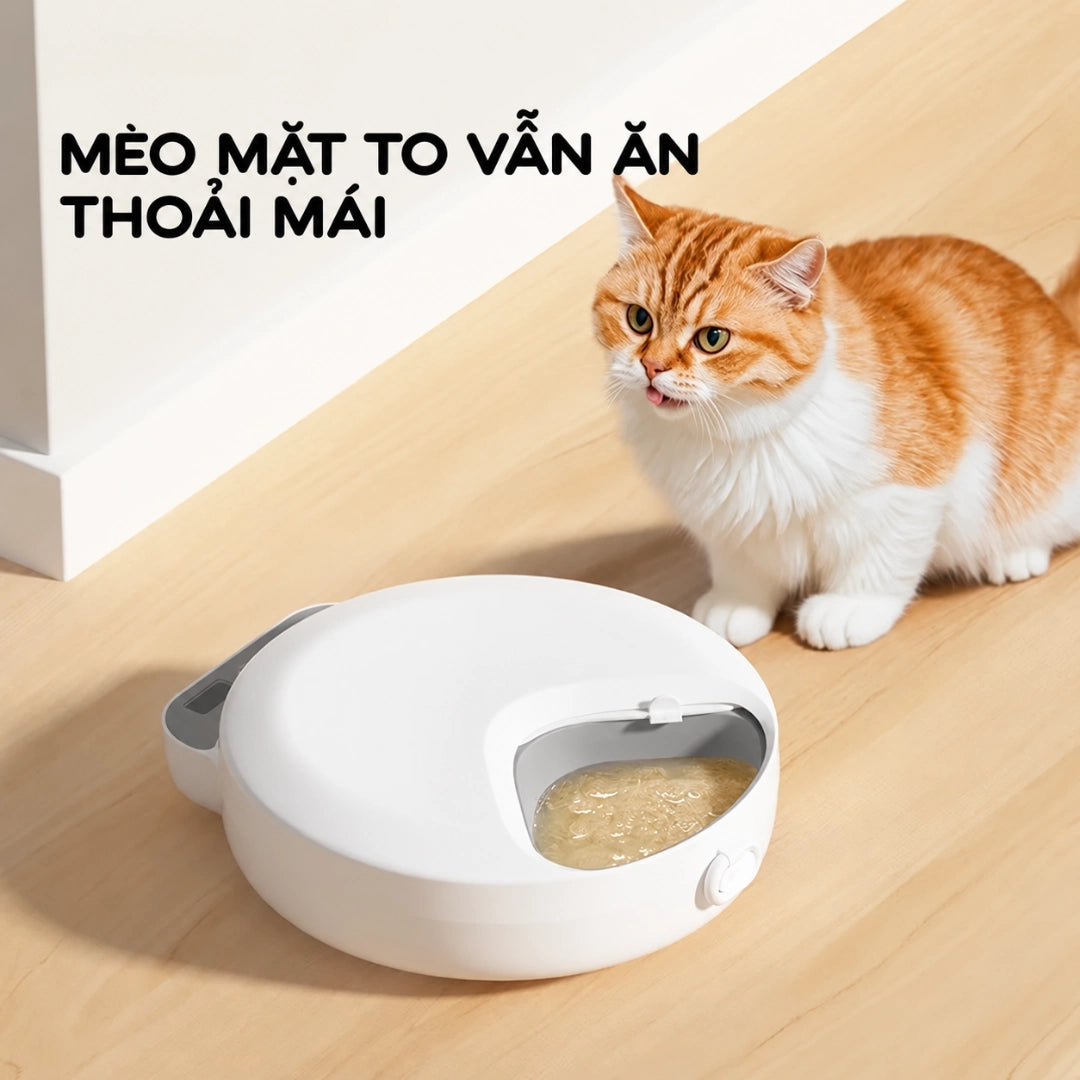 Máy Cho Mèo Ăn Thức Ăn Ướt Petone F26 - 4 Bữa, Không Dây - Xmart