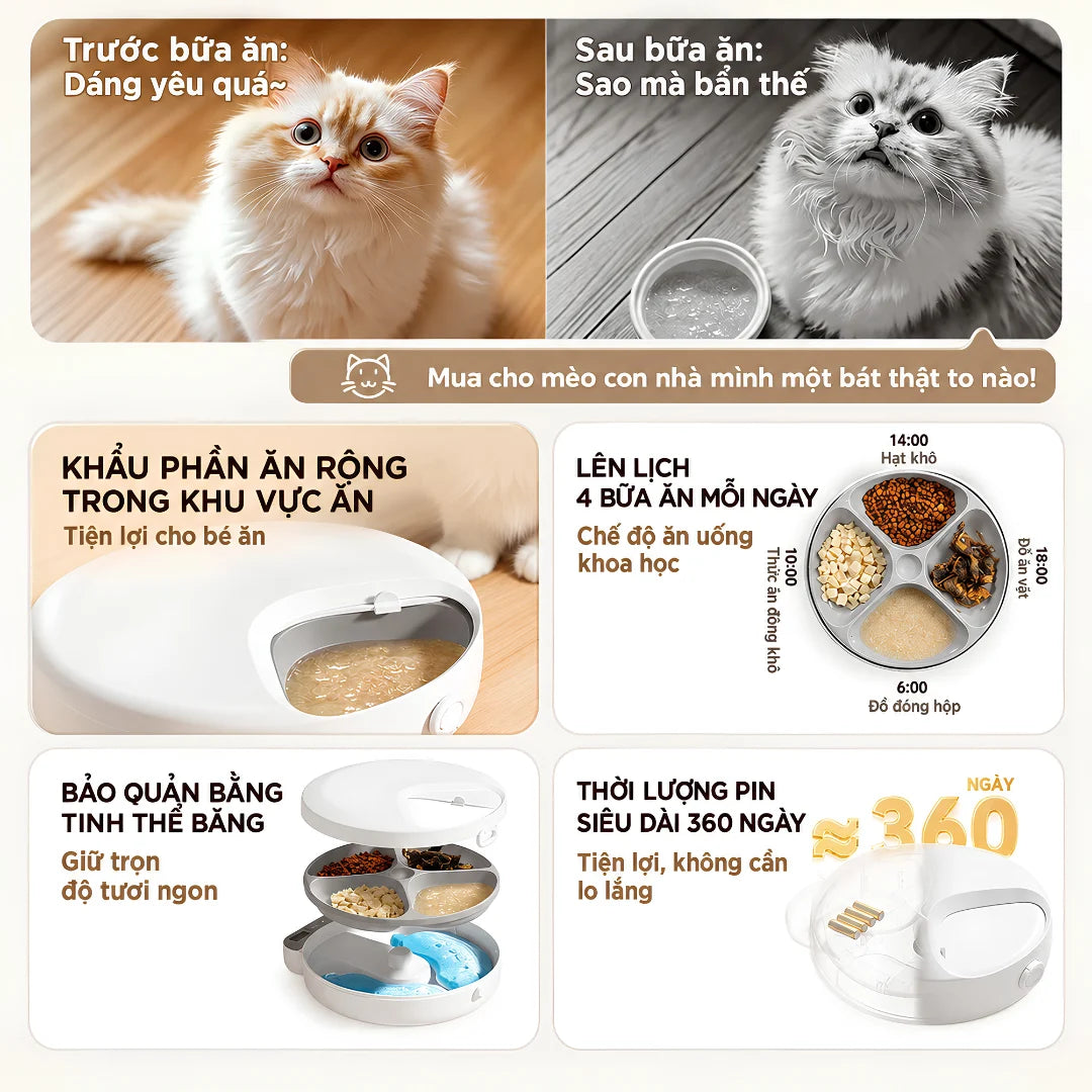 Máy Cho Mèo Ăn Thức Ăn Ướt Petone F26 - 4 Bữa, Không Dây - Xmart