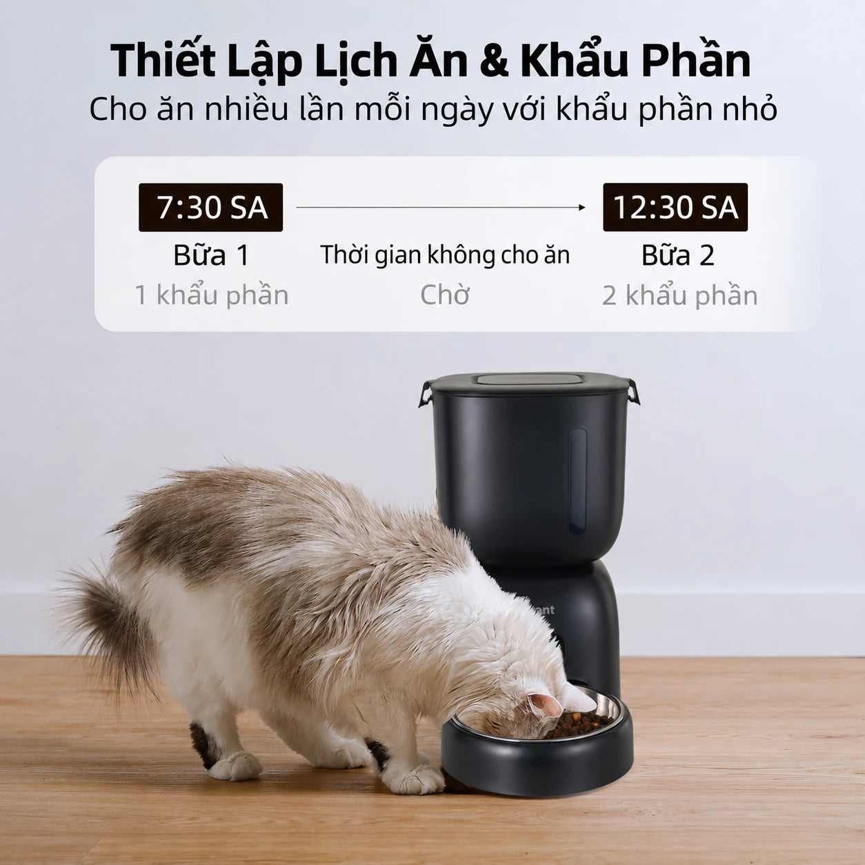 Petone F14 Automatic Cat Feeder 3L - Button Version / WiFi - Xmart