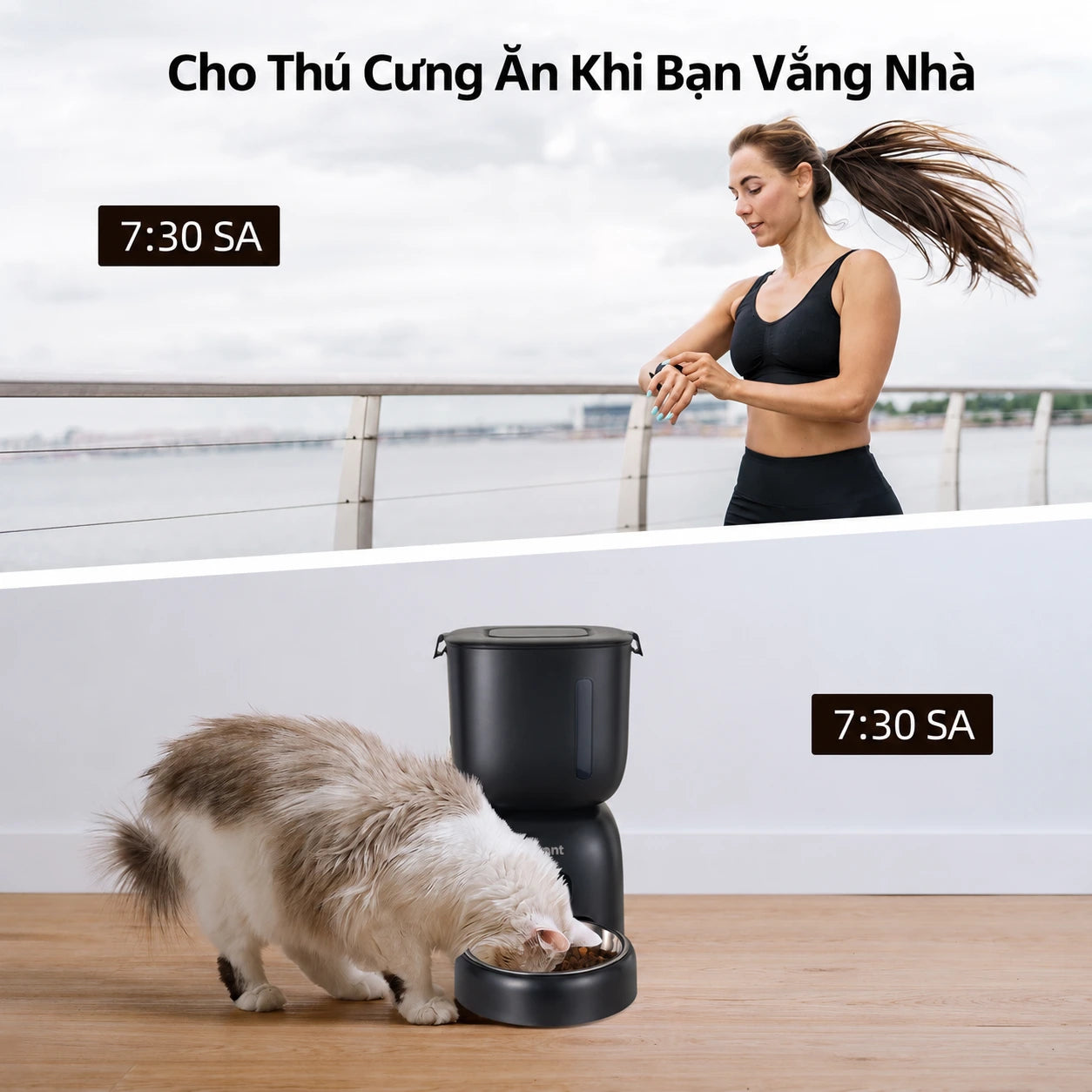 Petone F14 Automatic Cat Feeder 3L - Button Version / WiFi - Xmart