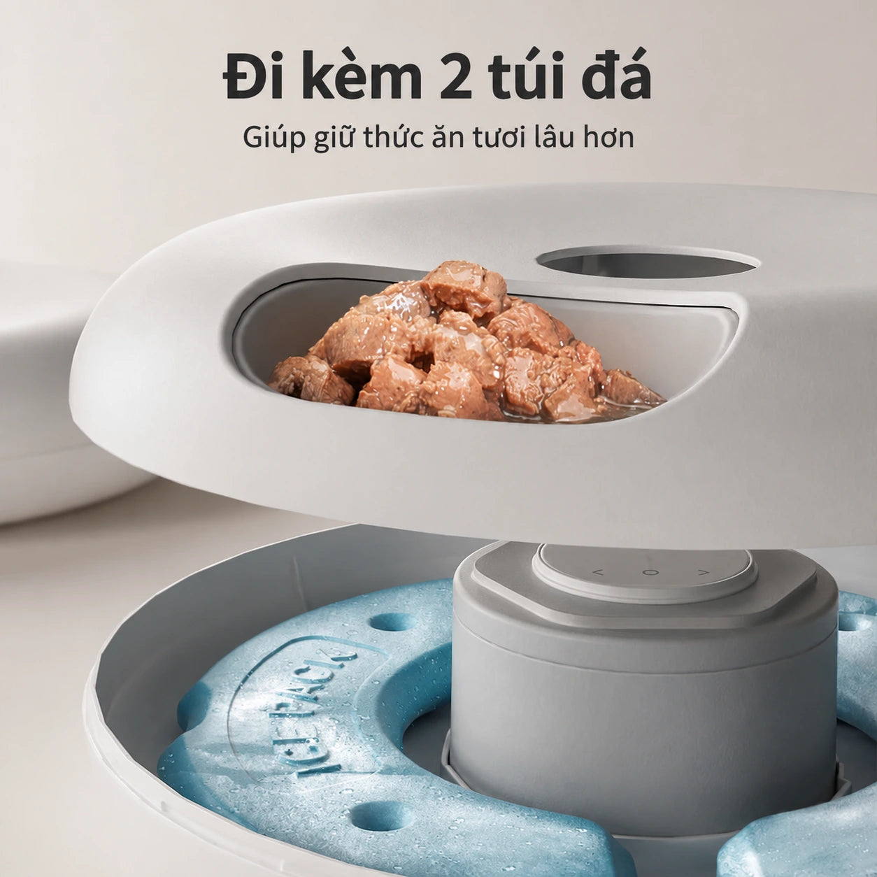 Petwant F13 1.2L Automatic Feeder for Dogs and Cats - 6 Meals, Suitable for Dry & Wet Food - Xmart