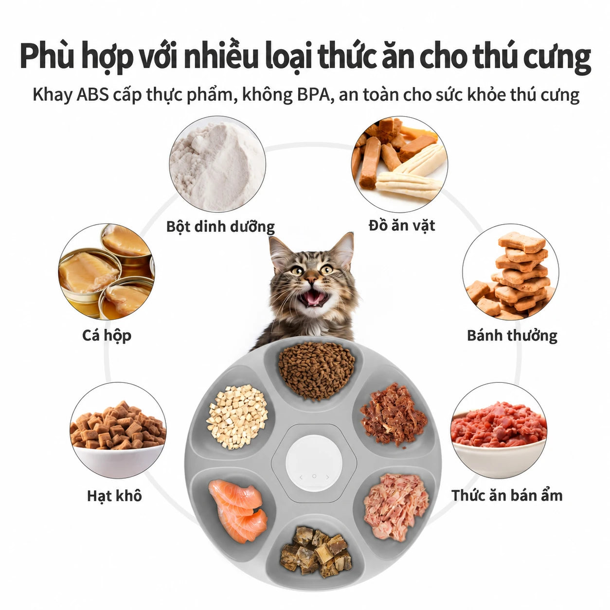 Petwant F13 1.2L Automatic Feeder for Dogs and Cats - 6 Meals, Suitable for Dry & Wet Food - Xmart
