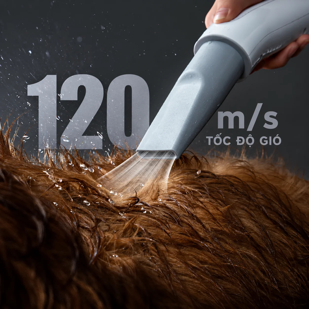 Máy Thổi Sấy Lông Chó Mèo Homerunpet PD10 3 Đầu Thổi - Xmart