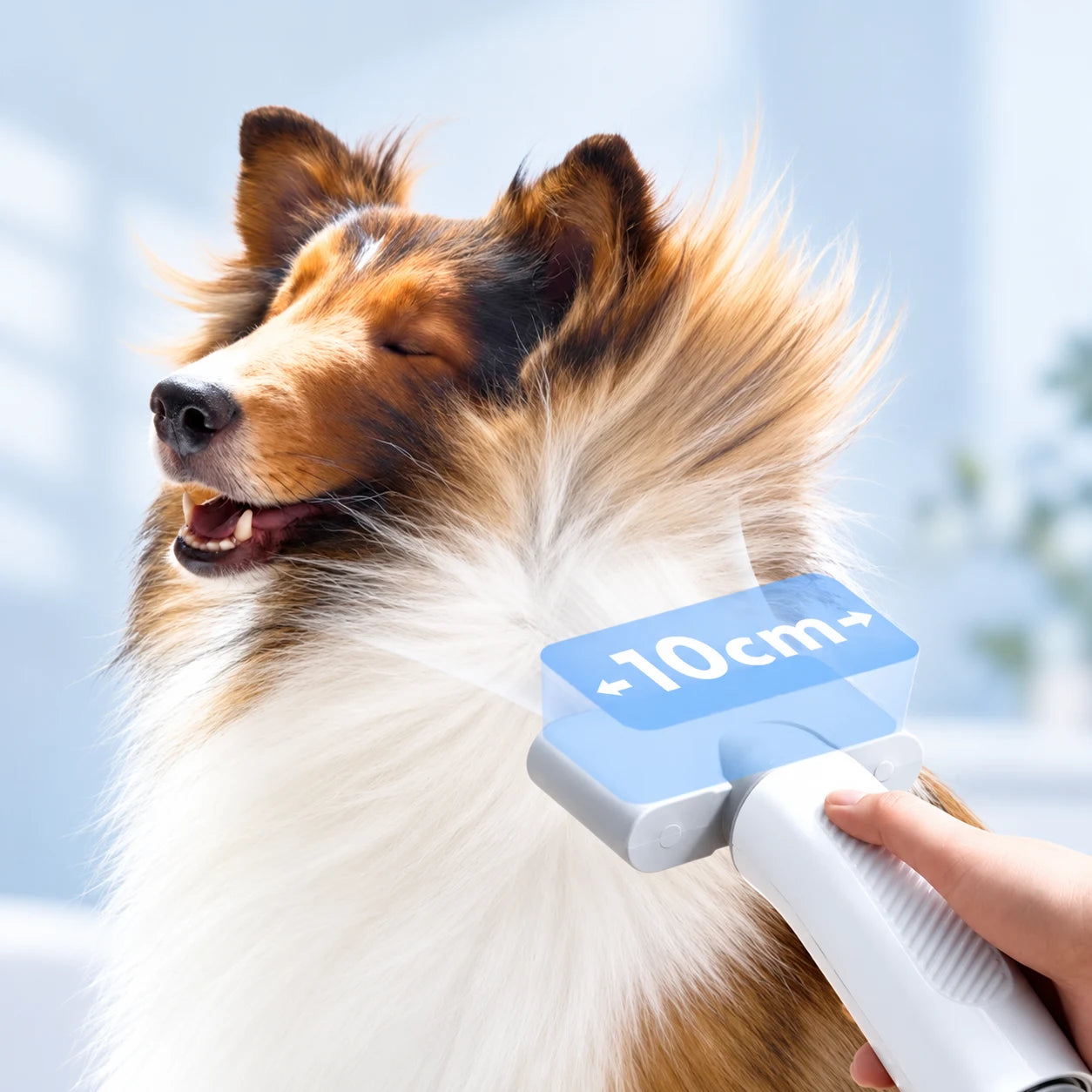 Máy Thổi Sấy Lông Chó Mèo Homerunpet PD10 3 Đầu Thổi - Xmart