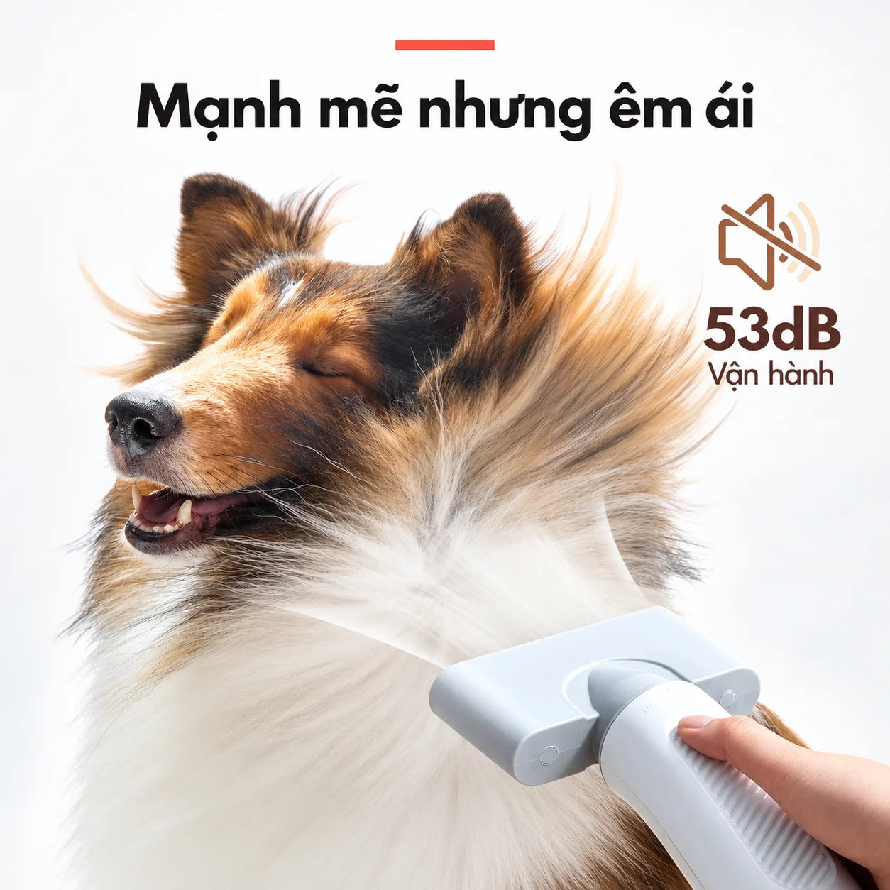 Máy Thổi Sấy Lông Chó Mèo Homerunpet PD10 3 Đầu Thổi - Xmart