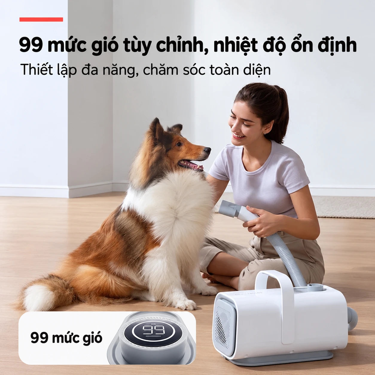 Máy Thổi Sấy Lông Chó Mèo Homerunpet PD10 3 Đầu Thổi - Xmart