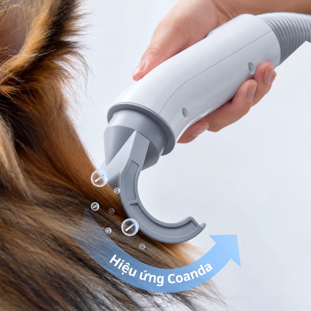 Máy Thổi Sấy Lông Chó Mèo Homerunpet PD10 3 Đầu Thổi - Xmart
