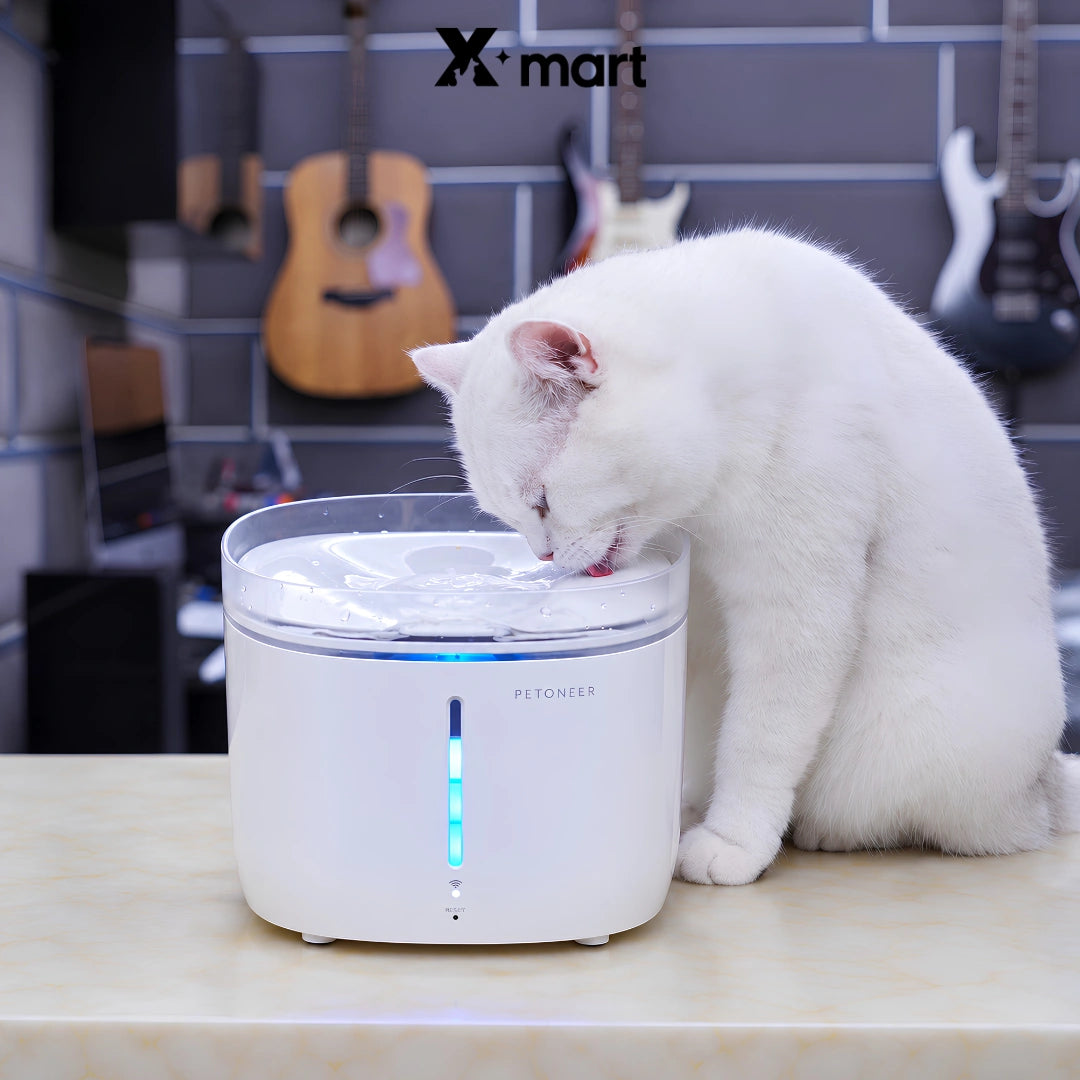 Petoneer WF002 Smart Dog & Cat Water Fountain WiFi UV - Xmart