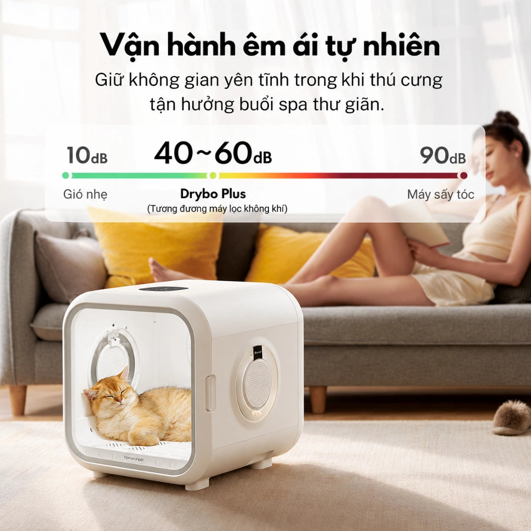 Homerunpet Drybo Plus PD50 50L Dog & Cat Hair Dryer - Automatic Drying, Quiet Operation - Xmart