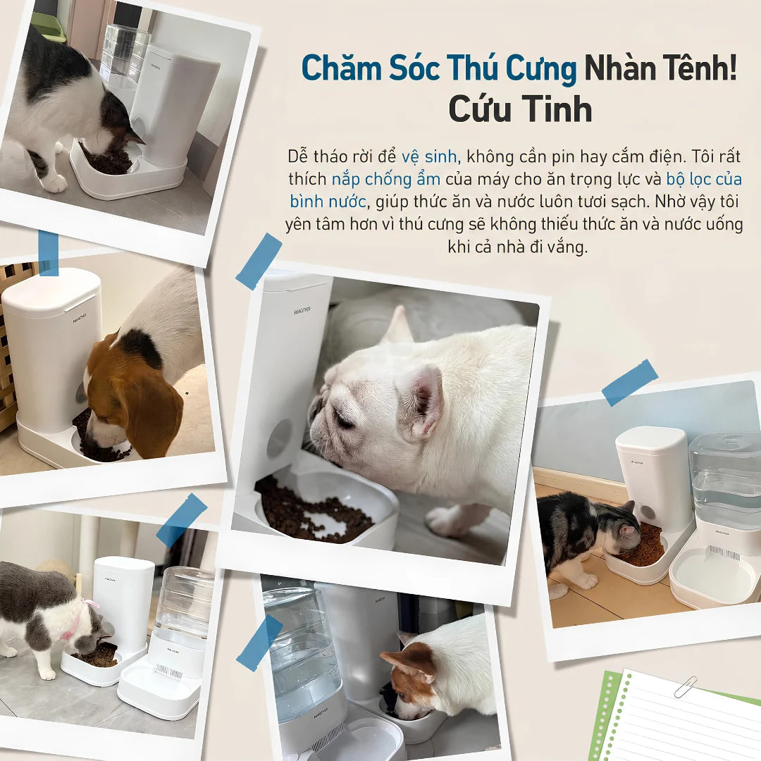 Máy Cho Mèo Ăn Tự Động Pawgether FG100 3.5L Bằng Trọng Lực - Xmart
