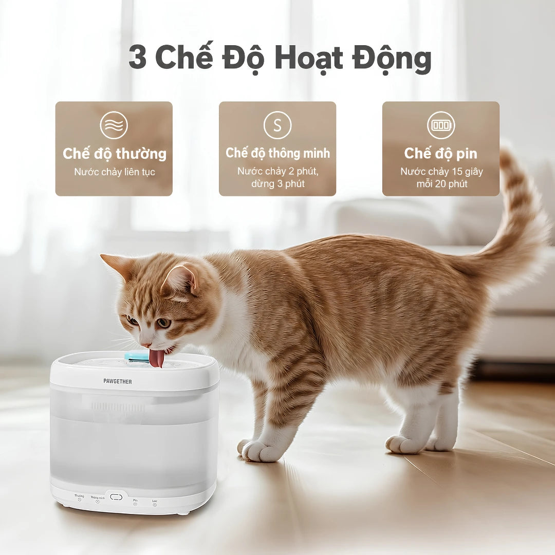 Máy Nước Uống Tự Động Cho Mèo Pawgether P3S 2L Cảm Biến Radar - Xmart
