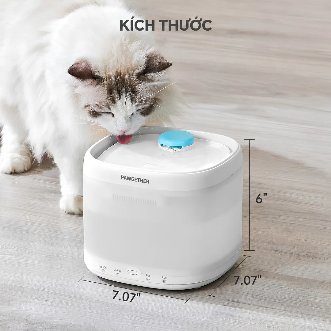 Máy Nước Uống Tự Động Cho Mèo Pawgether P3S 2L Cảm Biến Radar - Xmart