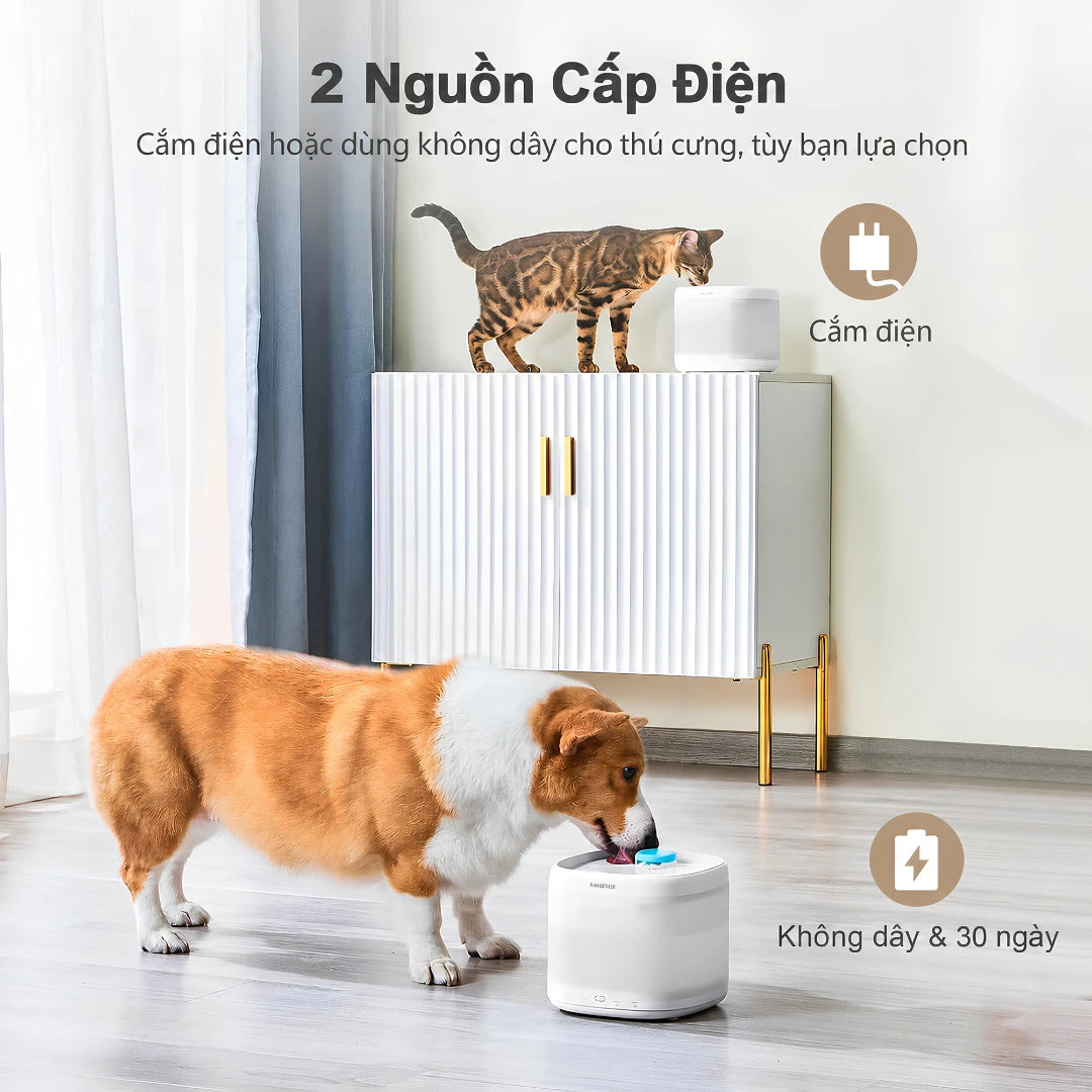 Máy Nước Uống Tự Động Cho Mèo Pawgether P3S 2L Cảm Biến Radar - Xmart