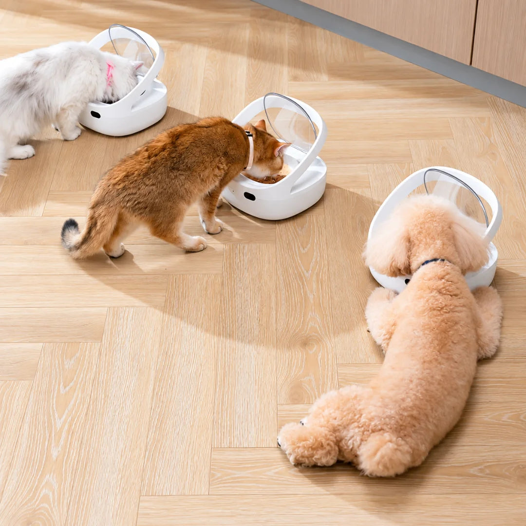 Petoneer PF009 NutriCare RFID Pet Feeder - Xmart