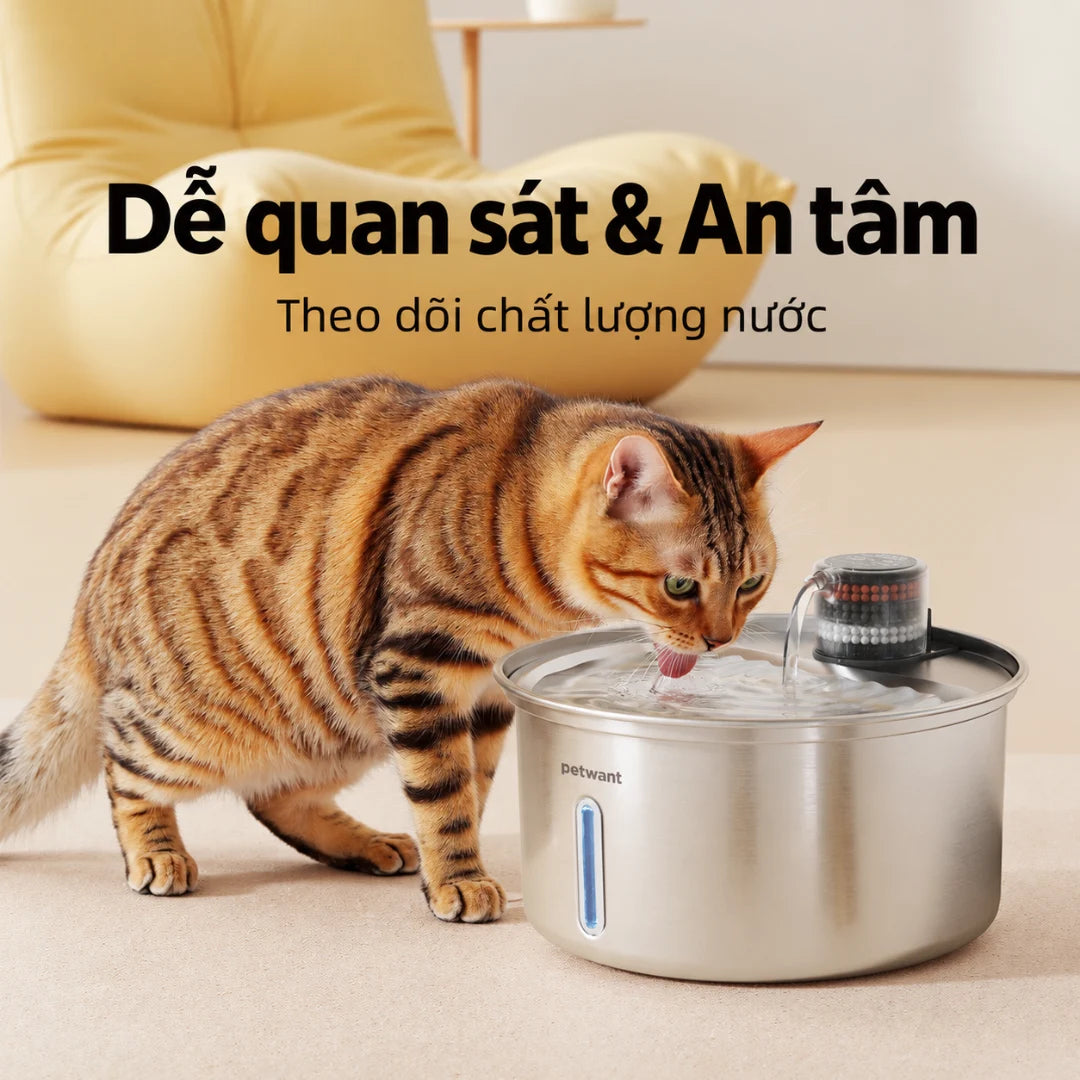 Petone W11 Cat Water Fountain 3.2L - 304 Stainless Steel, 5-Layer Filtration - Xmart