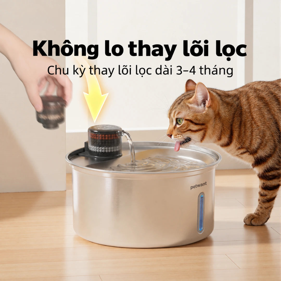Petone W11 Cat Water Fountain 3.2L - 304 Stainless Steel, 5-Layer Filtration - Xmart