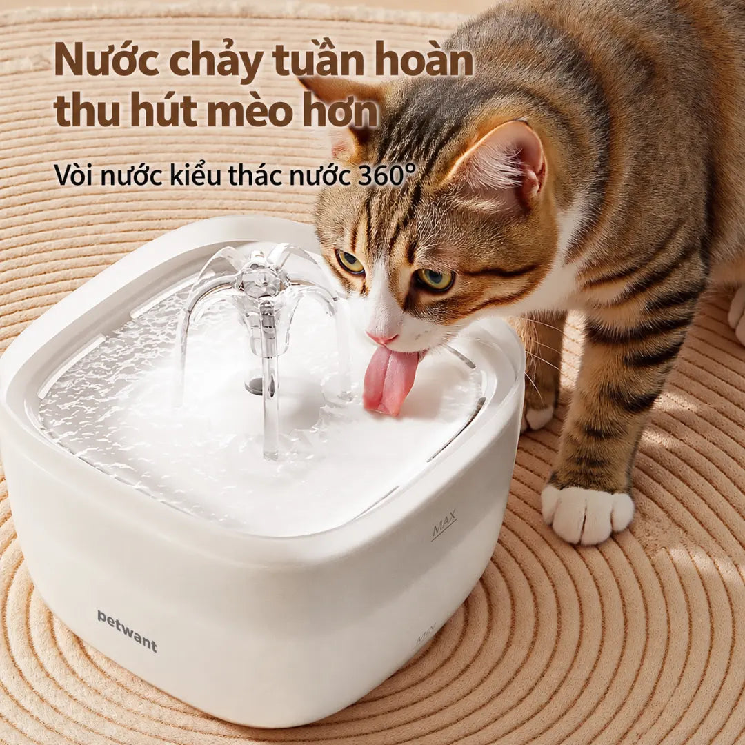 Petone FW1-W Cat Feeder & Water Fountain Set 3L + 2L - WiFi - Xmart
